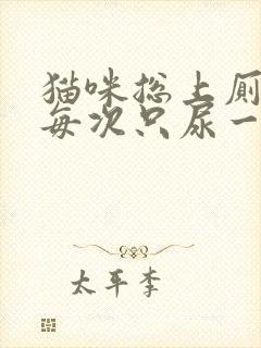 猫咪总上厕所,每次只尿一点