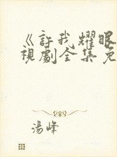 《许我耀眼》电视剧全集免费观看