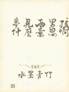 梦见两男孩子是什么意思啊