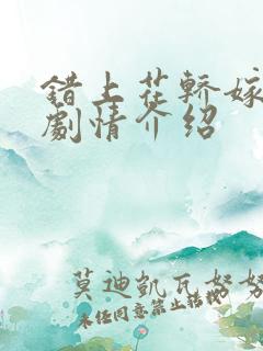 错上花轿嫁王爷剧情介绍