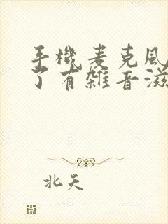 手机麦克风进水了有杂音滋滋