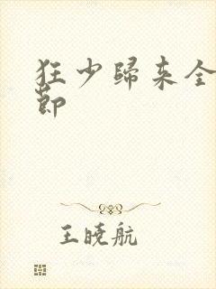 狂少归来全部章节