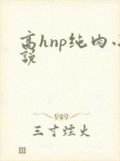 高hnp纯肉小说