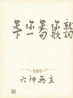 是你是你就是你下一句歌词是什么