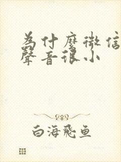 为什么微信语音声音很小