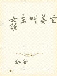 女主叫姜宜的小说