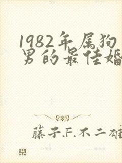 1982年属狗男的最佳婚配属相