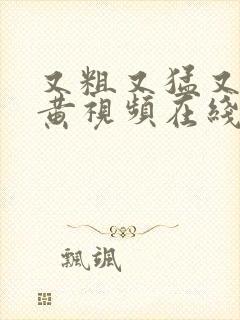 又粗又猛又爽又黄视频在线观看