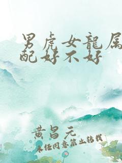 男虎女龙属相婚配好不好