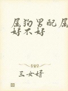 属狗男配属鼠女好不好