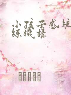 小孩子感统的训练机构