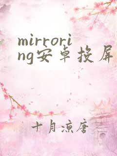 mirroring安卓投屏软件