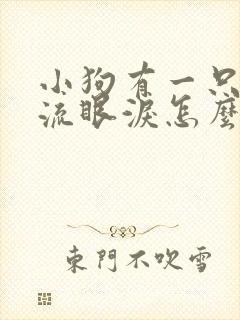 小狗有一只眼睛流眼泪怎么回事