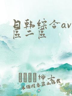日韩综合av一区二区