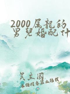 2000属龙的男儿婚配什么属相最佳