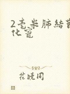 2毫米肺结节钙化灶