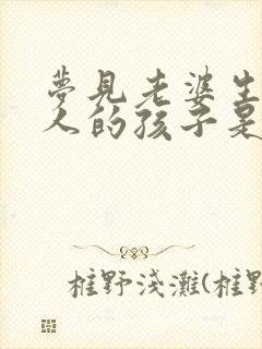 梦见老婆生了别人的孩子是什么征兆