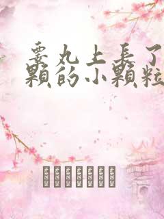 睾丸上长了一颗颗的小颗粒