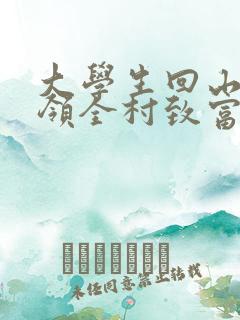 大学生回山村带领全村致富的小说