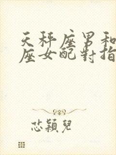 天秤座男和摩羯座女配对指数