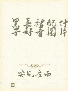 黑长裙配什么鞋子好看图片