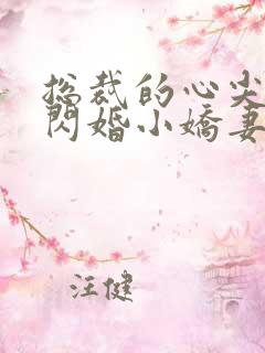 总裁的心尖宠是闪婚小娇妻