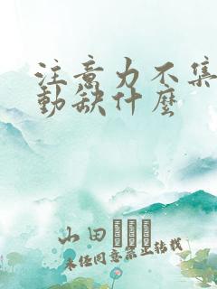 注意力不集中爱动缺什么