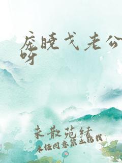 庞晓戈老公是谁呀