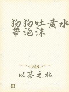 狗狗吐黄水粘稠带泡沫