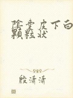 阴囊皮下白色硬颗粒状