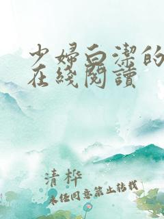 少妇白洁的故事在线阅读