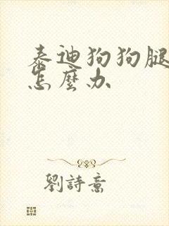 泰迪狗狗腿瘸了怎么办