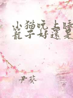 小猫晚上睡觉关笼子好还是不关