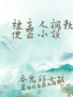 被主人调教当肉便器小说