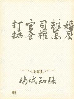 打官司离婚孩子抚养权怎么判