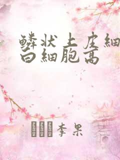 鳞状上皮细胞和白细胞高