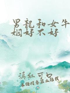 男龙和女牛配婚姻好不好