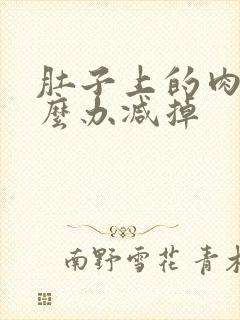 肚子上的肉多怎么办减掉