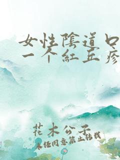 女性阴道口起了一个红丘疹