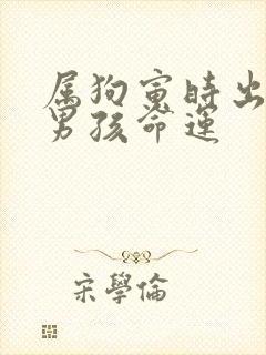 属狗寅时出生的男孩命运