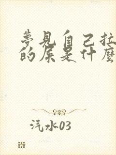 梦见自己拉不完的屎是什么预兆