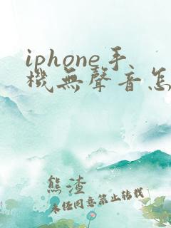 iphone手机无声音怎么回事