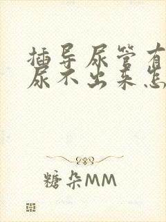 插导尿管有尿意尿不出来怎么办