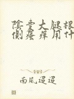 阴囊大腿根部内侧瘙痒用什么药