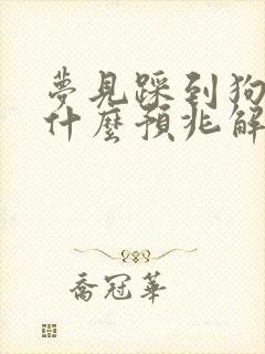 梦见踩到狗屎是什么预兆解梦女性