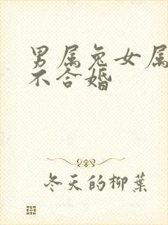 男属兔女属鸡合不合婚