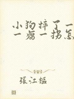 小狗摔了一下腿一瘸一拐怎么办