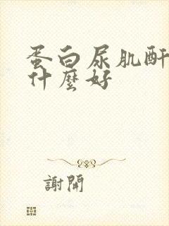 蛋白尿肌酐高吃什么好