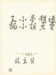 王小梦赵远许如楠小说免费读