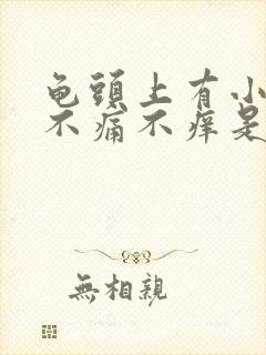 龟头上有小疙瘩不痛不痒是什么